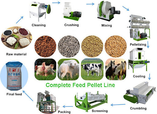 380V 50Hz Feed Pellet Production Line 2mm To 10mm Animal Feed Pelletizer